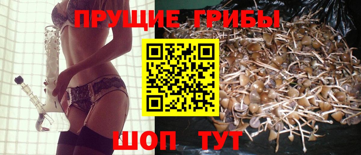 Псилоцибиновые грибы MAGIC MUSHROOMS Сочи