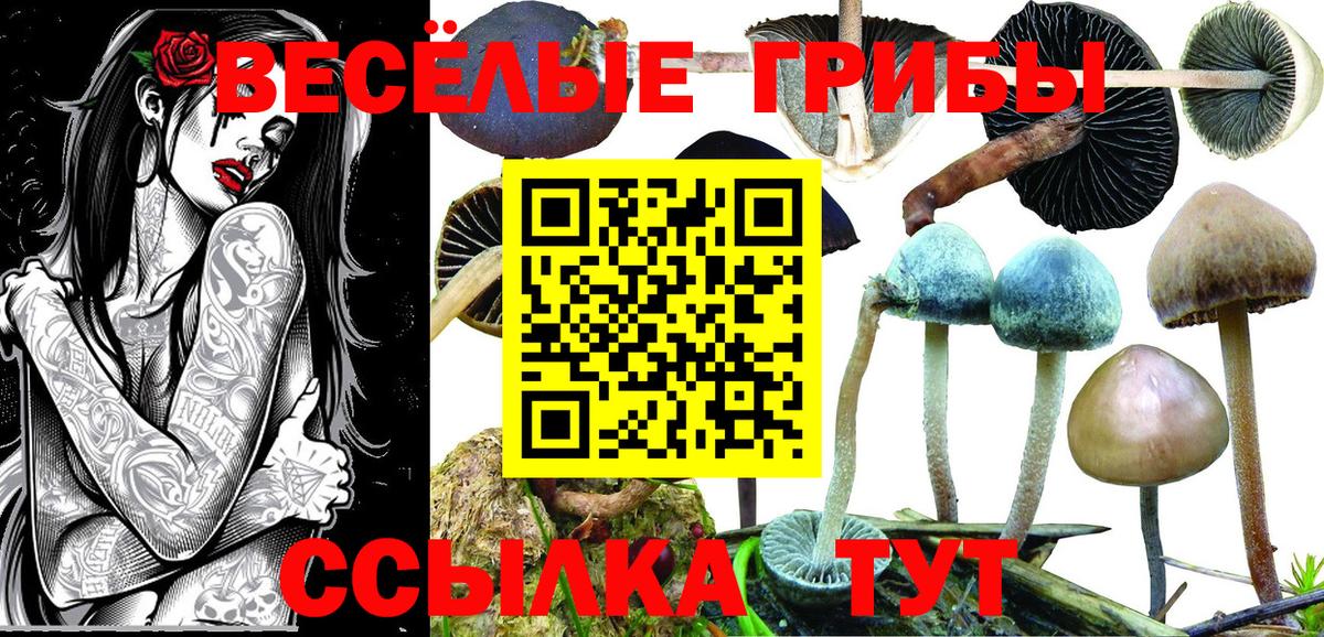 Галлюциногенные грибы Magic Shrooms  Вход с VPN  где найти наркотики  Сочи 